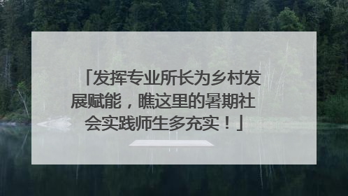 发挥专业所长为乡村发展赋能，瞧这里的暑期社会实践师生多充实！