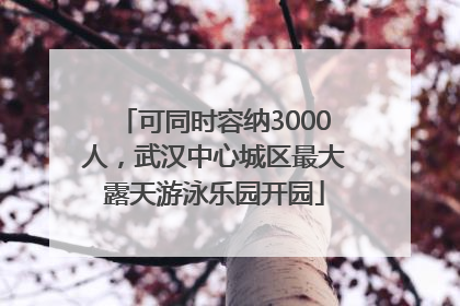 可同时容纳3000人，武汉中心城区最大露天游泳乐园开园