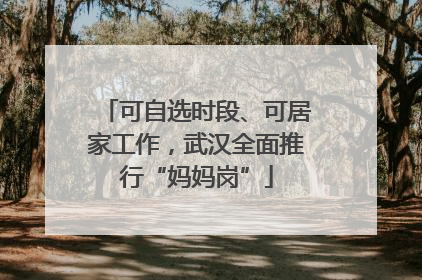 可自选时段、可居家工作，武汉全面推行“妈妈岗”