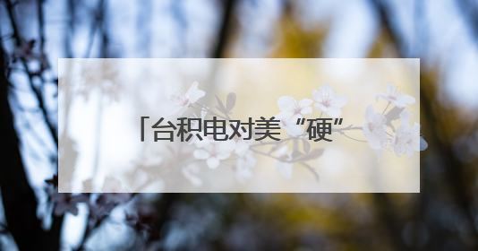 台积电对美“硬”起来了？岛内舆论把目光看向了赖清德