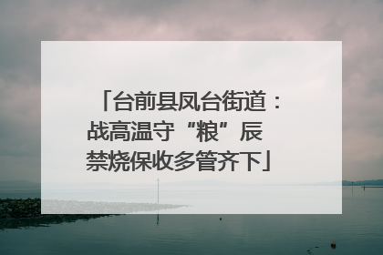 台前县凤台街道：战高温守“粮”辰 禁烧保收多管齐下