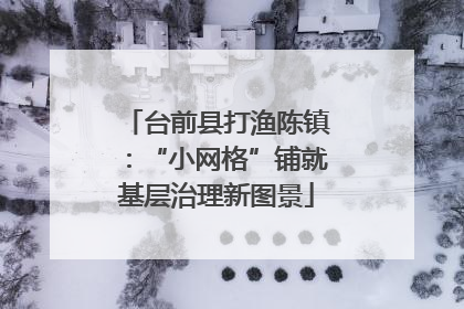 台前县打渔陈镇：“小网格”铺就基层治理新图景