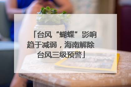 台风“蝴蝶”影响趋于减弱，海南解除台风三级预警