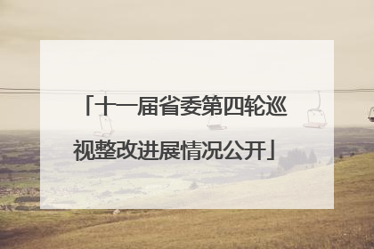 十一届省委第四轮巡视整改进展情况公开