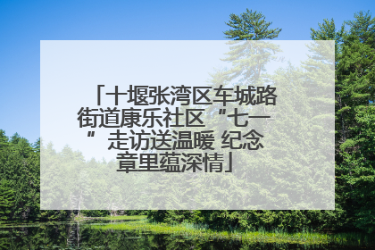 十堰张湾区车城路街道康乐社区“七一”走访送温暖 纪念章里蕴深情