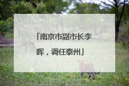 南京市副市长李晖，调任泰州