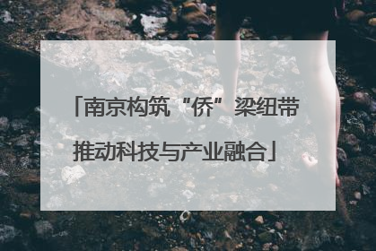 南京构筑“侨”梁纽带推动科技与产业融合