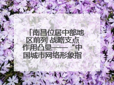 南昌位居中部地区前列 战略支点作用凸显——“中国城市网络形象指数”发布