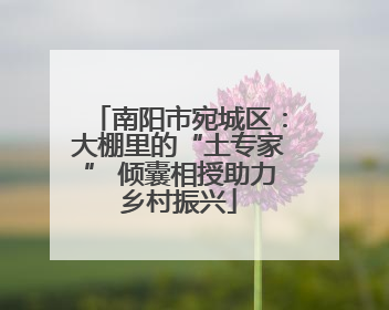 南阳市宛城区：大棚里的“土专家” 倾囊相授助力乡村振兴
