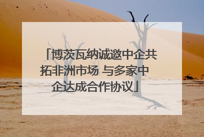 博茨瓦纳诚邀中企共拓非洲市场 与多家中企达成合作协议