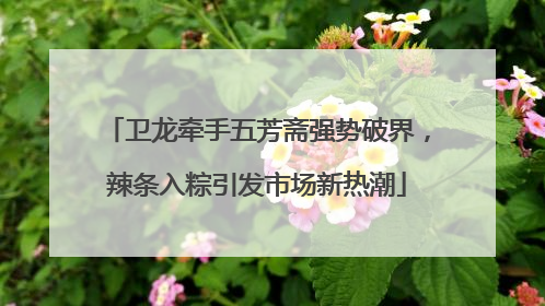 卫龙牵手五芳斋强势破界，辣条入粽引发市场新热潮
