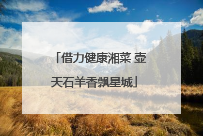 借力健康湘菜 壶天石羊香飘星城