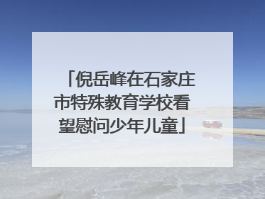 倪岳峰在石家庄市特殊教育学校看望慰问少年儿童