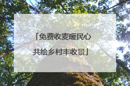 免费收麦暖民心 共绘乡村丰收景