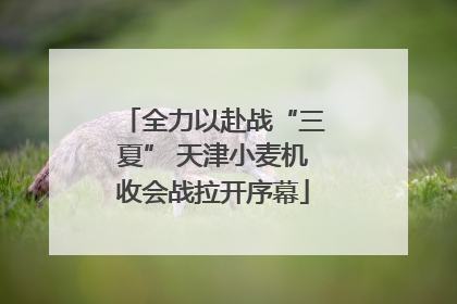 全力以赴战“三夏” 天津小麦机收会战拉开序幕