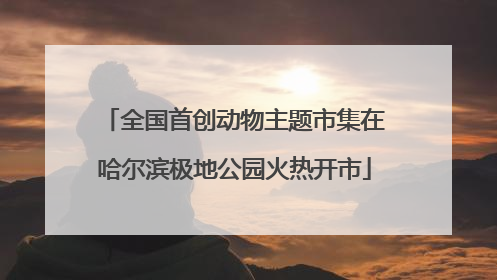全国首创动物主题市集在哈尔滨极地公园火热开市