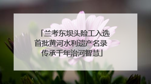 兰考东坝头险工入选首批黄河水利遗产名录 传承千年治河智慧