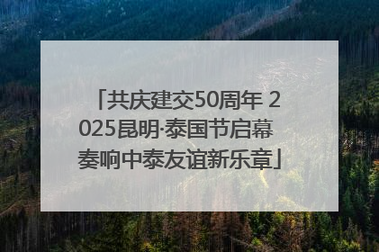 共庆建交50周年 2025昆明·泰国节启幕 奏响中泰友谊新乐章