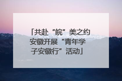 共赴“皖”美之约 安徽开展“青年学子安徽行”活动
