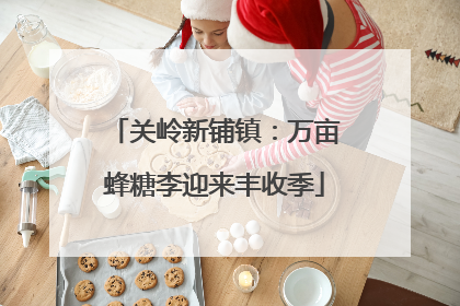 关岭新铺镇：万亩蜂糖李迎来丰收季