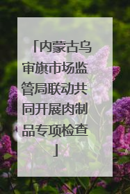 内蒙古乌审旗市场监管局联动共同开展肉制品专项检查
