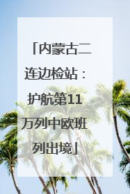 内蒙古二连边检站：护航第11万列中欧班列出境