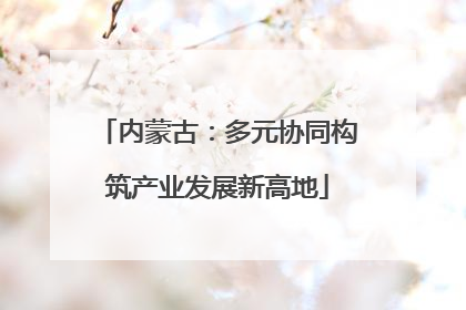 内蒙古：多元协同构筑产业发展新高地