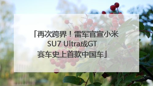 再次跨界！雷军官宣小米SU7 Ultra成GT赛车史上首款中国车