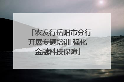 农发行岳阳市分行开展专题培训 强化金融科技保障