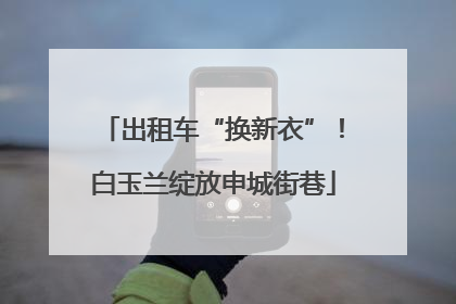 出租车“换新衣”！白玉兰绽放申城街巷