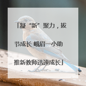 凝“新”聚力，拔节成长 峨眉一小助推新教师迅速成长