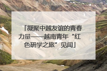 凝聚中越友谊的青春力量——越南青年“红色研学之旅”见闻