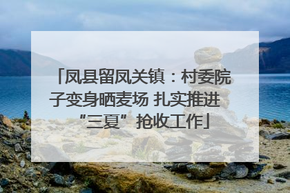 凤县留凤关镇：村委院子变身晒麦场 扎实推进“三夏”抢收工作