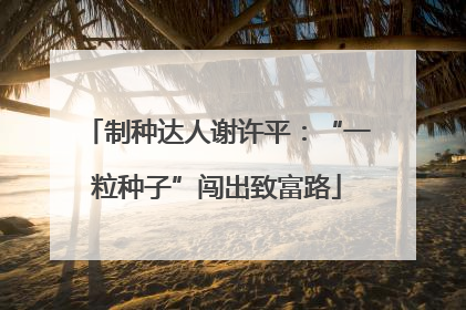 制种达人谢许平：“一粒种子”闯出致富路