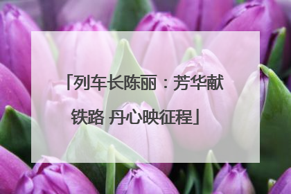 列车长陈丽：芳华献铁路 丹心映征程