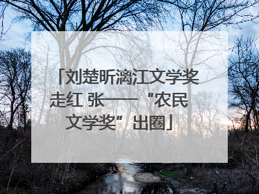 刘楚昕漓江文学奖走红 张一一“农民文学奖”出圈