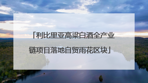 利比里亚高粱白酒全产业链项目落地自贸雨花区块