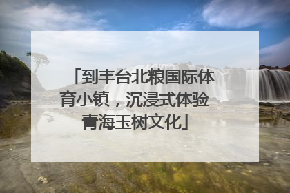 到丰台北粮国际体育小镇，沉浸式体验青海玉树文化