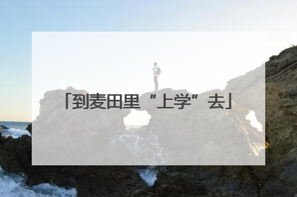 到麦田里“上学”去