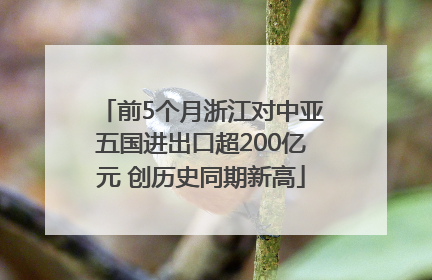 前5个月浙江对中亚五国进出口超200亿元 创历史同期新高