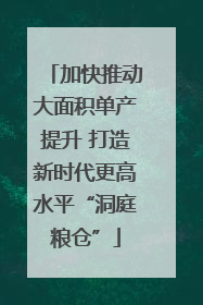 加快推动大面积单产提升 打造新时代更高水平“洞庭粮仓”