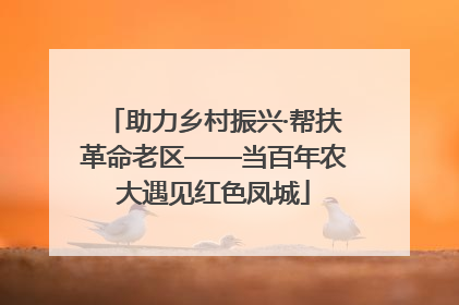 助力乡村振兴·帮扶革命老区——当百年农大遇见红色凤城