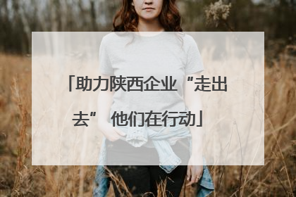 助力陕西企业“走出去” 他们在行动