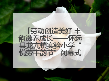 劳动创造美好 丰韵滋养成长——怀远县龙亢镇实验小学“悦劳丰韵节”闭幕式圆满举行