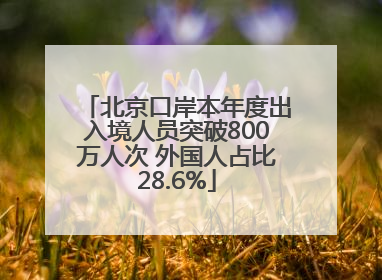 北京口岸本年度出入境人员突破800万人次 外国人占比28.6%