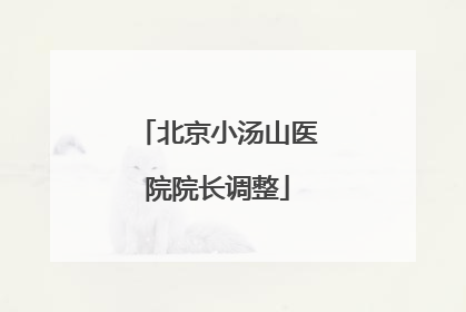 北京小汤山医院院长调整