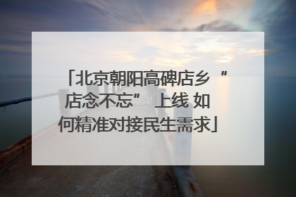 北京朝阳高碑店乡“店念不忘” 上线 如何精准对接民生需求