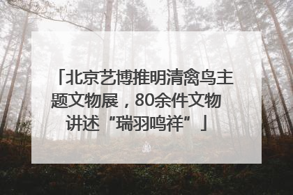 北京艺博推明清禽鸟主题文物展，80余件文物讲述“瑞羽鸣祥”