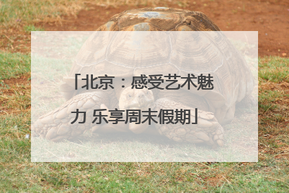 北京：感受艺术魅力 乐享周末假期