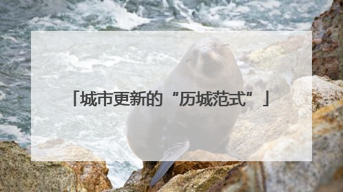 城市更新的“历城范式”